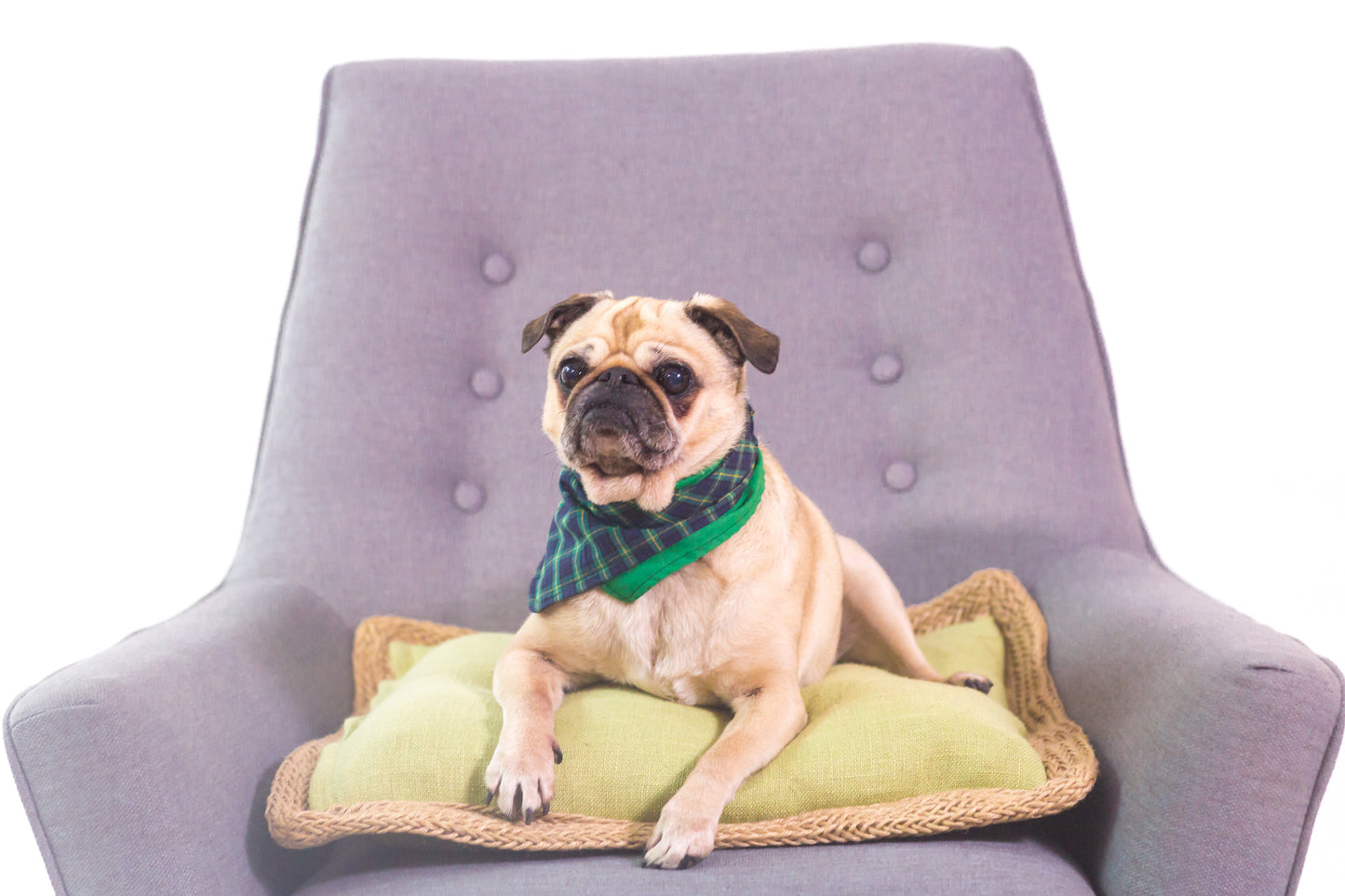 Self-enabling Rustic Fresh Chips