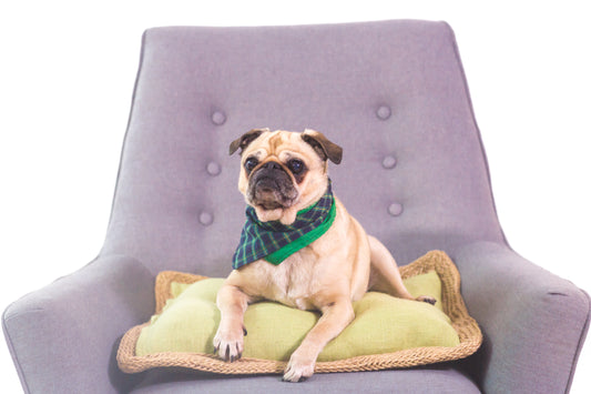 Self-enabling Rustic Fresh Chips